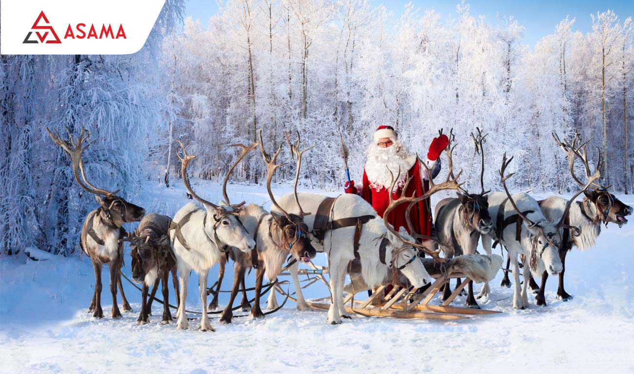 Tuần lộc của ông già noel là đực hay cái