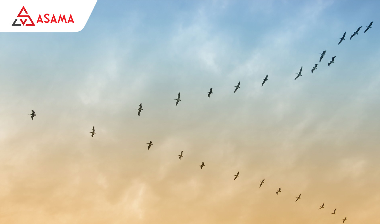 Bao lì xì chim én ngày xuân