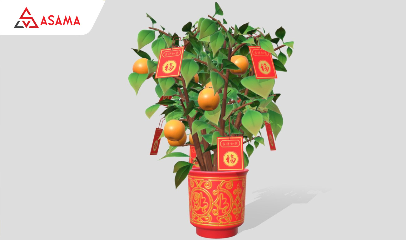 Những lưu ý phong thủy và mẹo nhỏ khi chưng quất