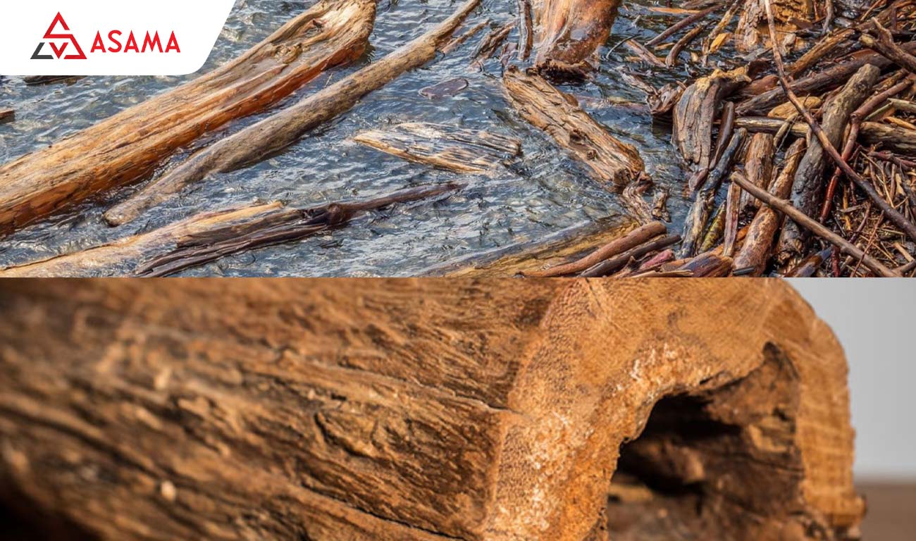 Viết thư pháp Tết bằng gỗ điêu khắc