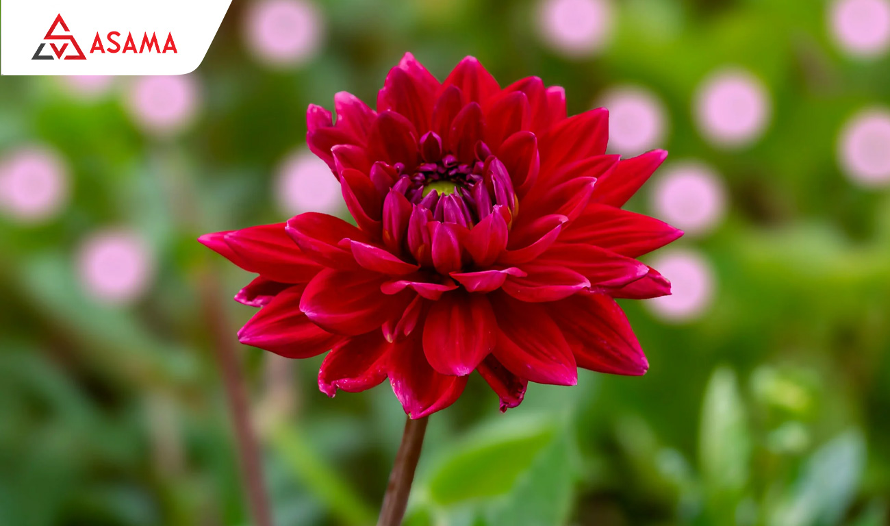 Những Điều Cần Tránh Khi Chọn Quà Tặng Valentine Cho Nam