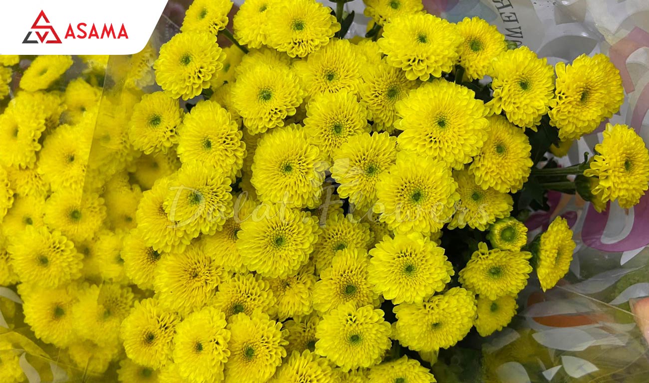 Tết chưng hoa gì may mắn trên bàn thờ gia tiên?