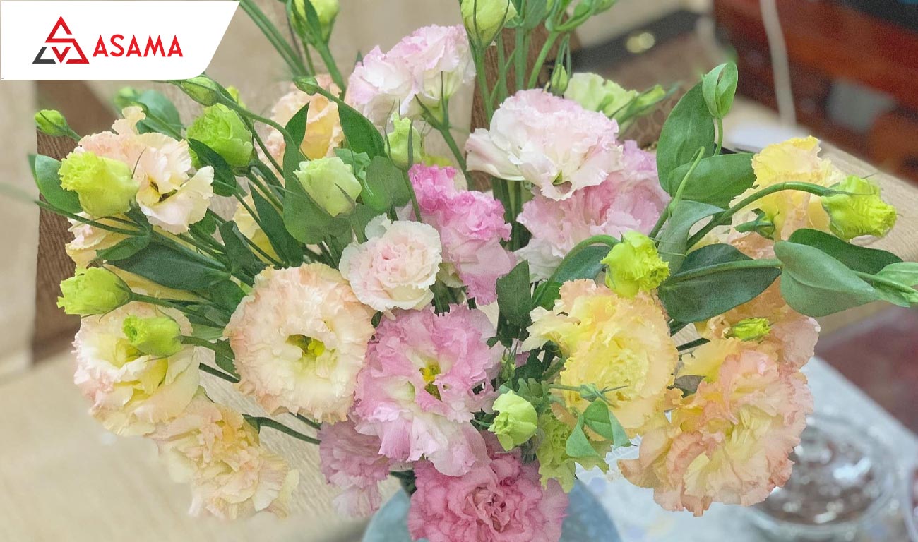 Tết chưng hoa gì may mắn? Hoa cát tường